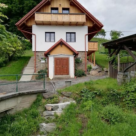 Bioferienhaus Muster - Dominkusch Possnitz エクステリア 写真