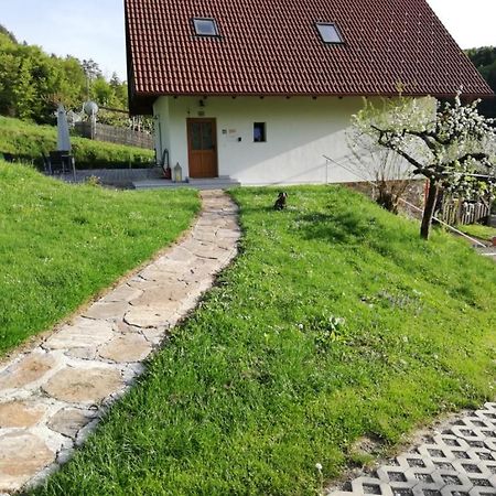 Bioferienhaus Muster - Dominkusch Possnitz エクステリア 写真