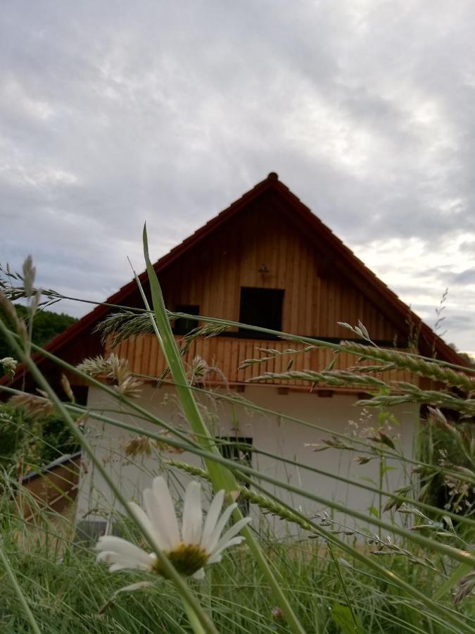Bioferienhaus Muster - Dominkusch Possnitz エクステリア 写真